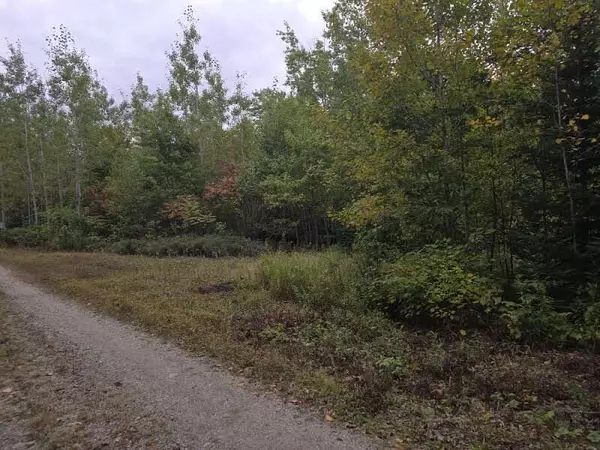 Deblois, ME 04622,Lot 36 Lower RD