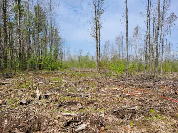 Vienna, ME 04360,538/548 Tower RD