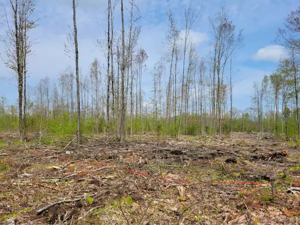 Vienna, ME 04360,538/548 Tower RD