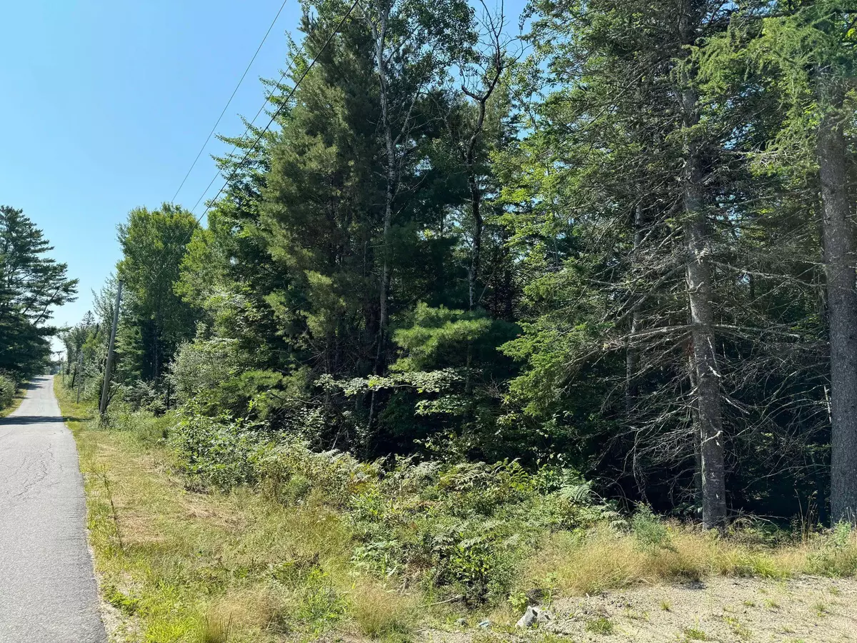 Harrington, ME 04643,Lot 2 Mill River RD