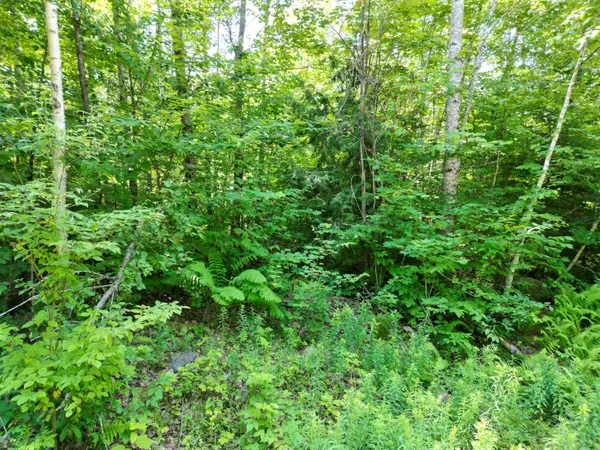 Springfield, ME 04487,Lot 5 Moores RD