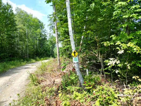 Springfield, ME 04487,Lot 5 Moores RD