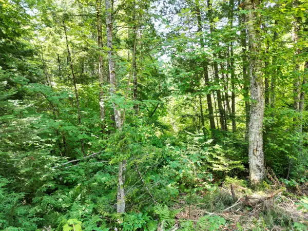 Springfield, ME 04487,Lot 6 Moores RD