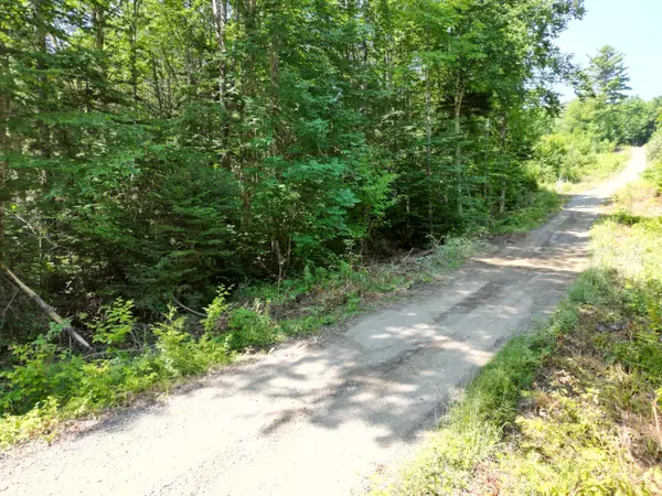 Springfield, ME 04487,Lot 6 Moores RD
