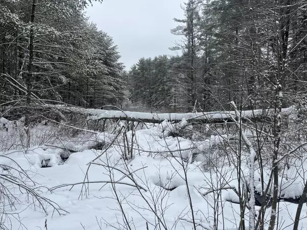 Brownfield, ME 04010,0 Harmon Notch RD