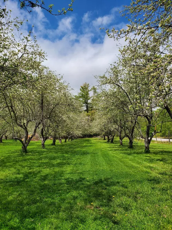 Woodstock, ME 04219,0 Harbor RD