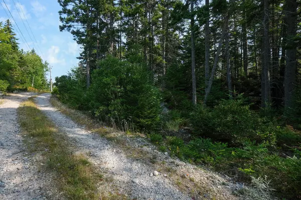 Stonington, ME 04681,12-5 S S Burnt Cove RD