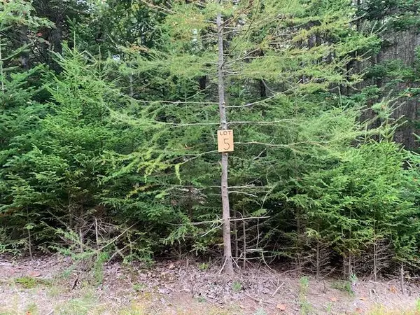 Stonington, ME 04681,12-5 S S Burnt Cove RD