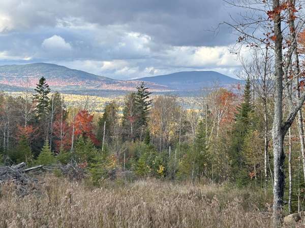 Lot 20 Moose Ridge RD, Dallas Plt, ME 04970