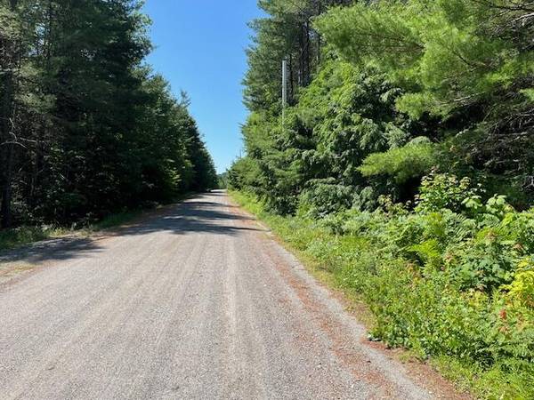 Lot 005 Dority Farm RD, Mariaville, ME 04605