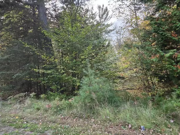 Stetson, ME 04488,277 E Newport RD