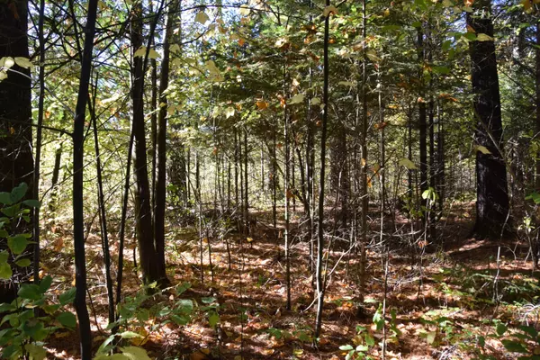 Kingfield, ME 04947,19 Caboose LN