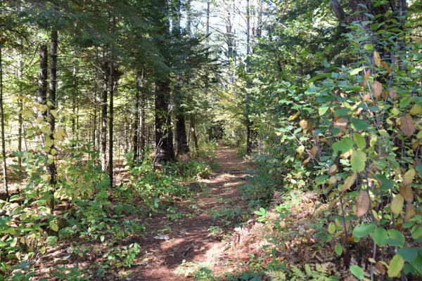 Kingfield, ME 04947,19 Caboose LN