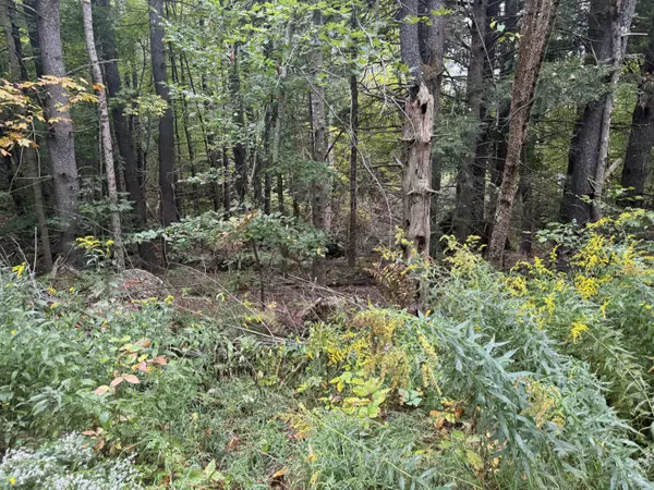 Limerick, ME 04048,M41 L290 Arrowhead LN