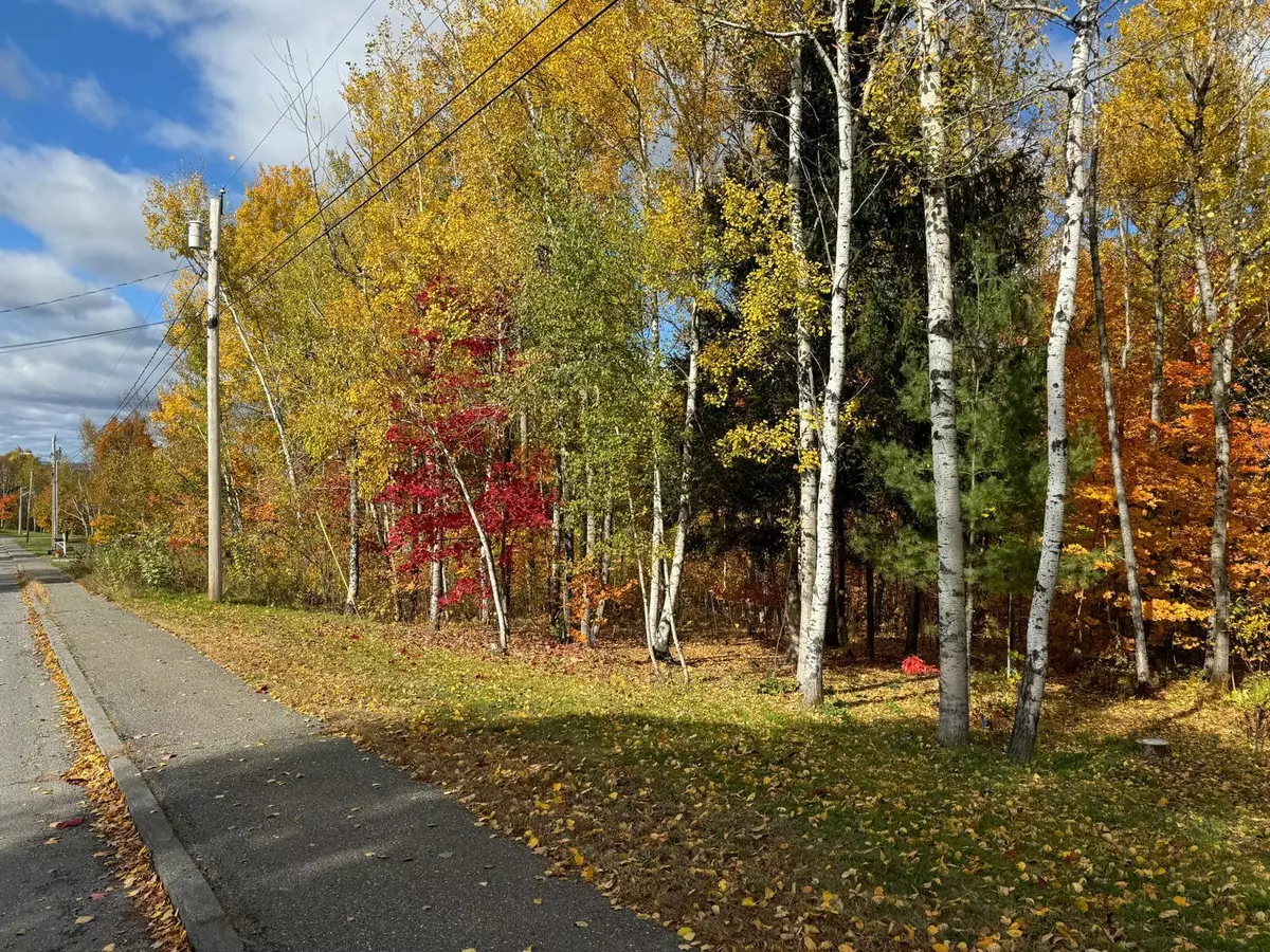 Presque Isle, ME 04769,60 Longview DR