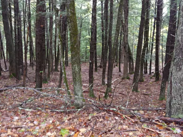 00 Benner RD,  Jefferson,  ME 04348