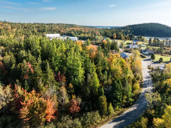 Machiasport, ME 04655,Lot 13 Whale Cove RD