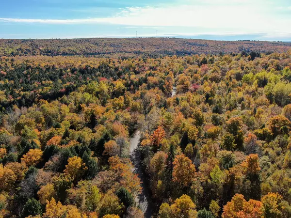 Lowell, ME 04493,M8L15 Webb Cove DR