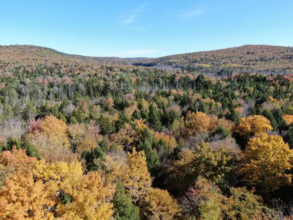 Lowell, ME 04493,M8L15 Webb Cove DR