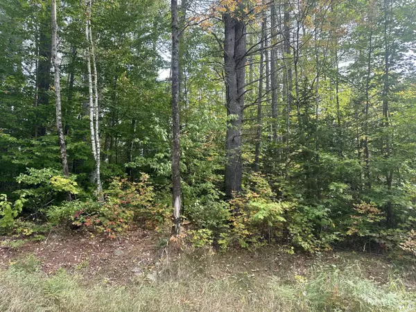 Roxbury, ME 04275,Lot 87 Main Street