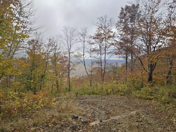 Woodstock, ME 04219,Lot 018 Spruce Mountain RD