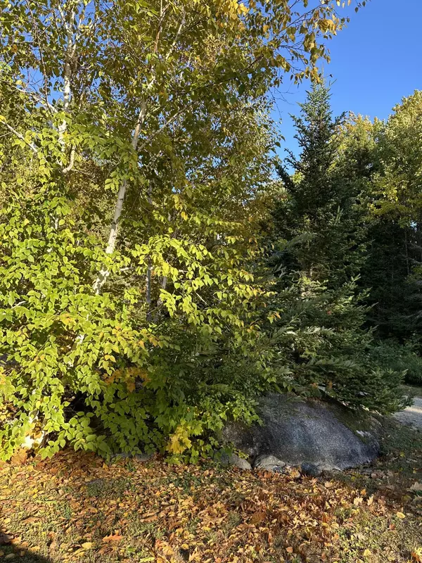 Cherryfield, ME 04622,602 Spragues Falls RD