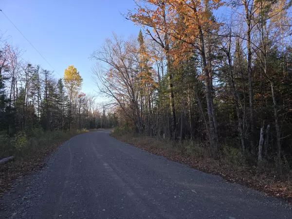 Crystal, ME 04747,Lot E Cow Team RD