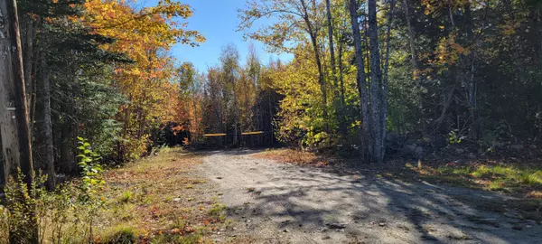 Cooper, ME 04657,LOT 17 East Ridge