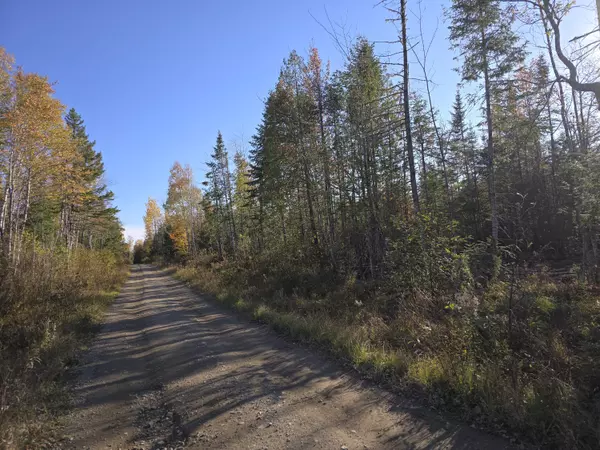 Springfield, ME 04487,20 ac Shep RD