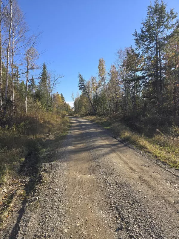 Springfield, ME 04487,20 ac Shep RD