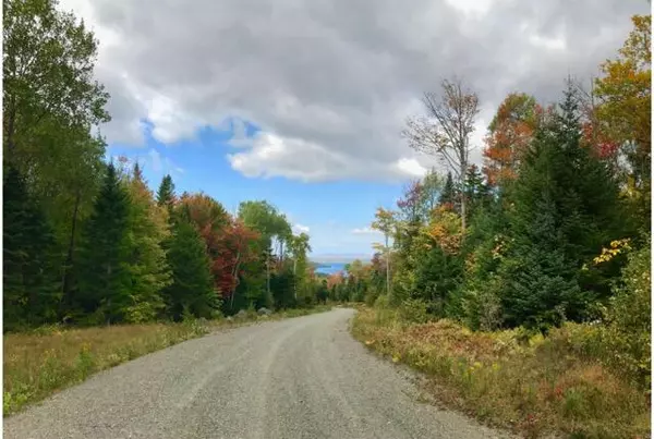 11 Mill Brook RD, Sandy River Plt, ME 04970