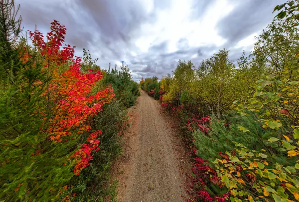 Amherst, ME 04605,Lot 121 Dana Jordan DR