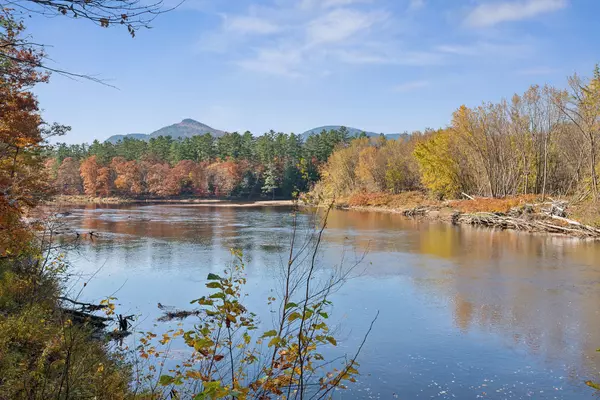 Bethel, ME 04217,Address not disclosed