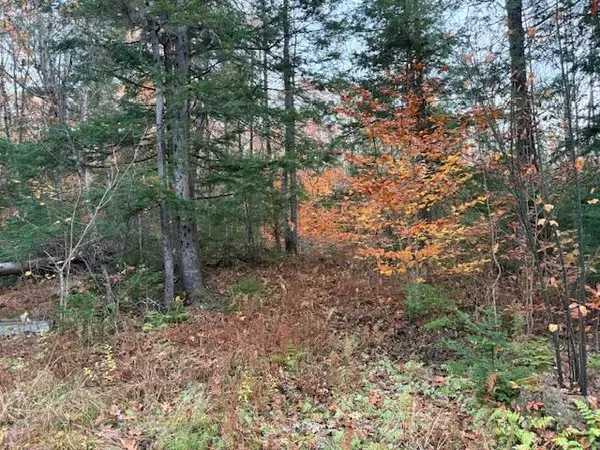 Abbot, ME 04406,6 Crazy Bear LN