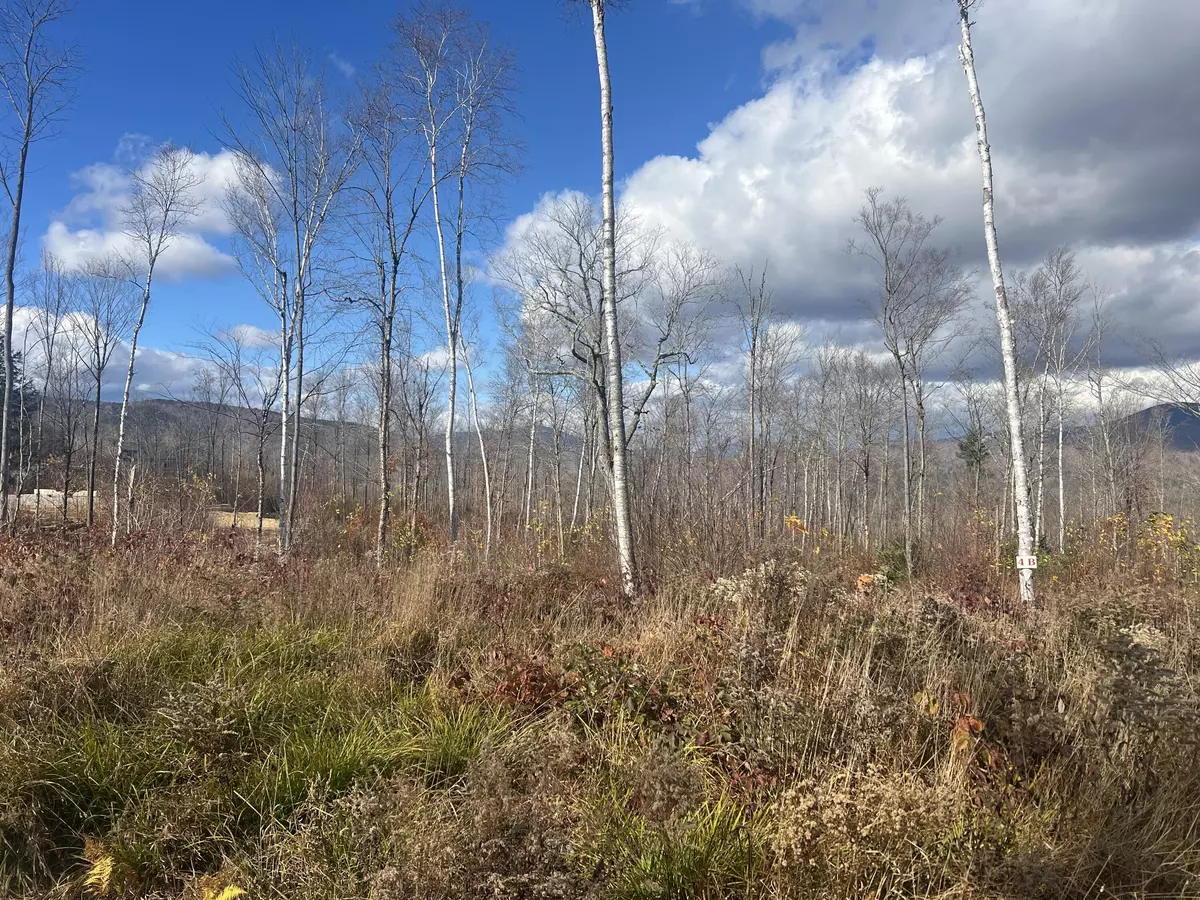 Bethel, ME 04217,Lot 4B Harmony ROW