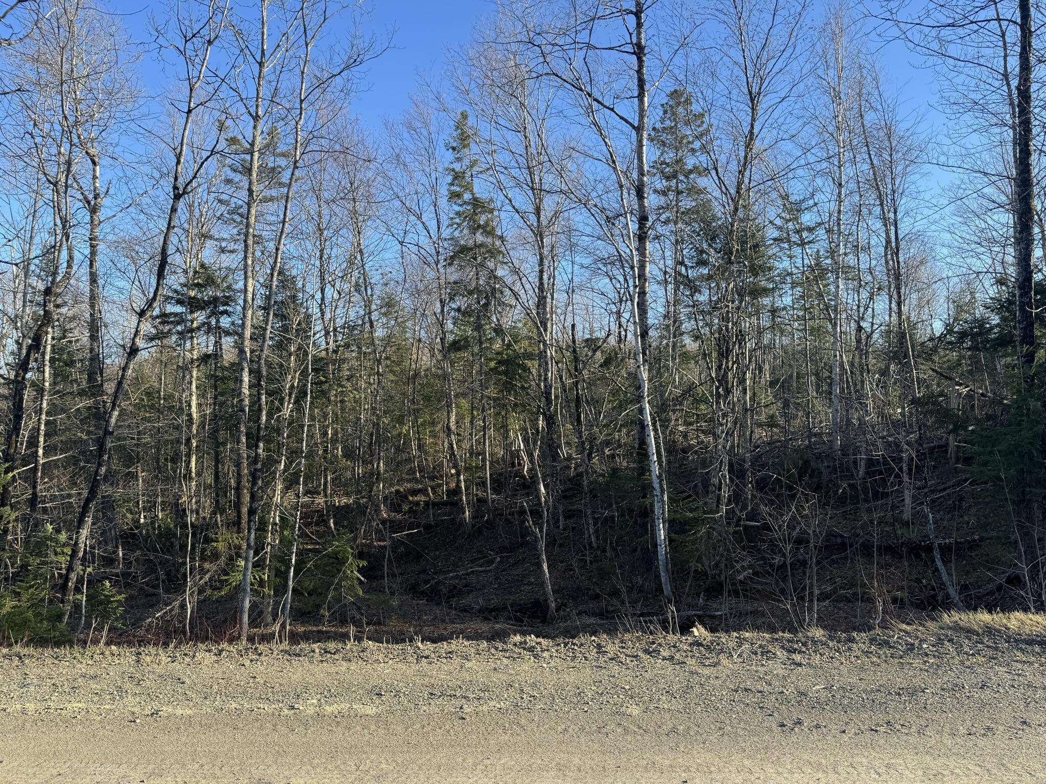 0 Young Lake RD, Westfield, ME 04787