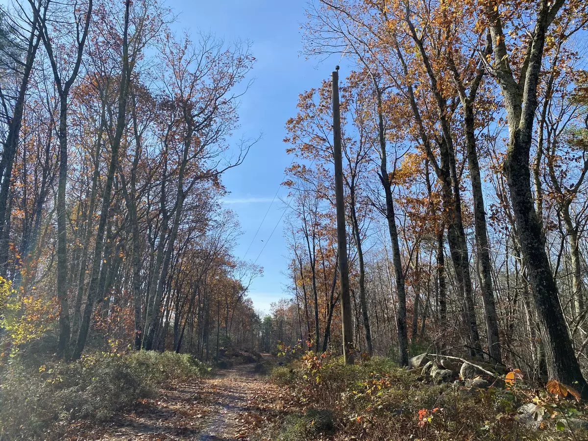 Wells, ME 04090,0 Tatnic RD