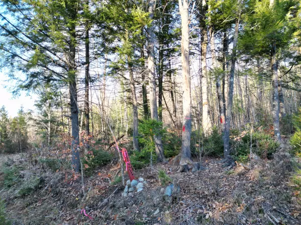 Springfield, ME 04487,Lot 11 Ghost RD