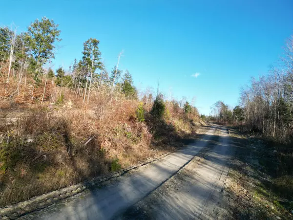 Springfield, ME 04487,Lot 12 Ghost RD