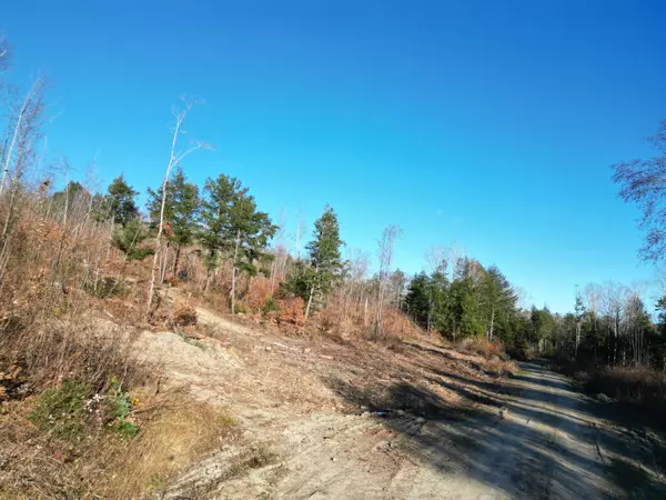 Springfield, ME 04487,Lot 12 Ghost RD