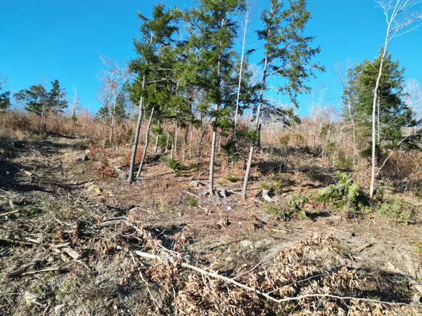 Springfield, ME 04487,Lot 12 Ghost RD