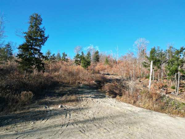 Lot 12 Ghost RD, Springfield, ME 04487