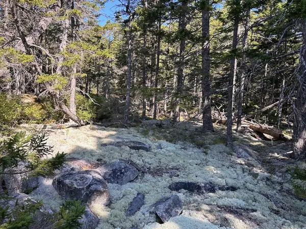 Sedgwick, ME 04676,0 Christy Hill  and Cross RD