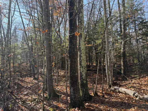 Leeds, ME 04263,Lot 49 Knapp RD
