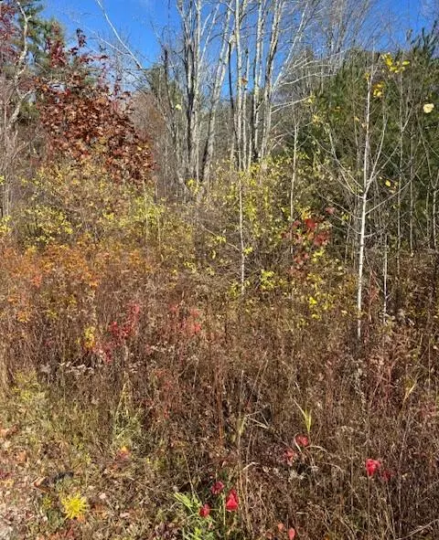 Kennebunkport, ME 04046,TBD Log Cabin RD