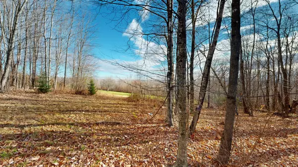 Saint Albans, ME 04971,50 Valley View LN