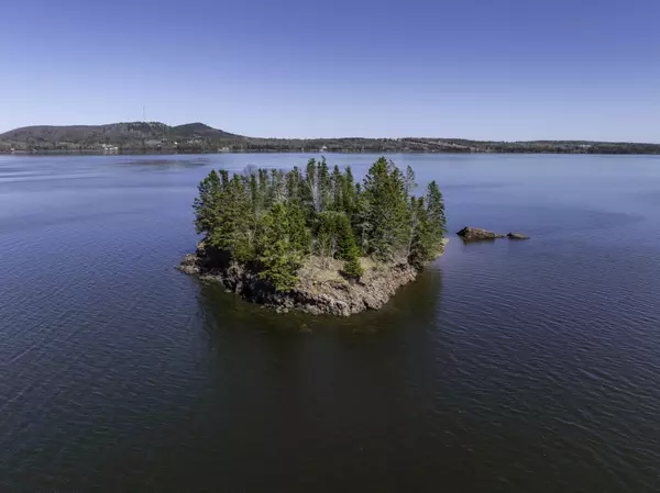 Robbinston, ME 04671,Map3 Lot57 Little Doucet Island