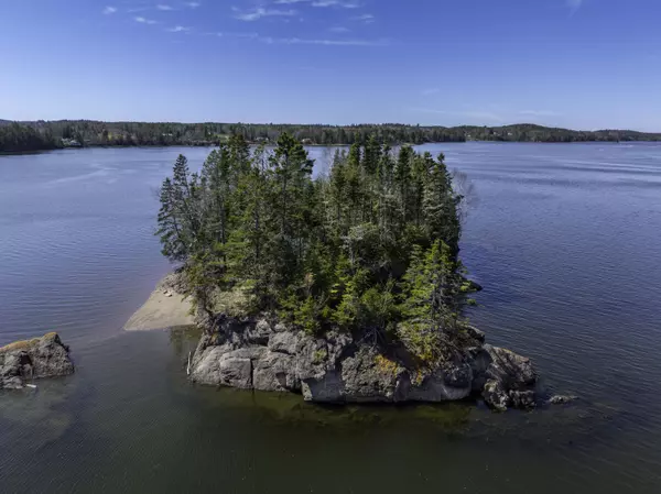 Robbinston, ME 04671,Map3 Lot57 Little Doucet Island