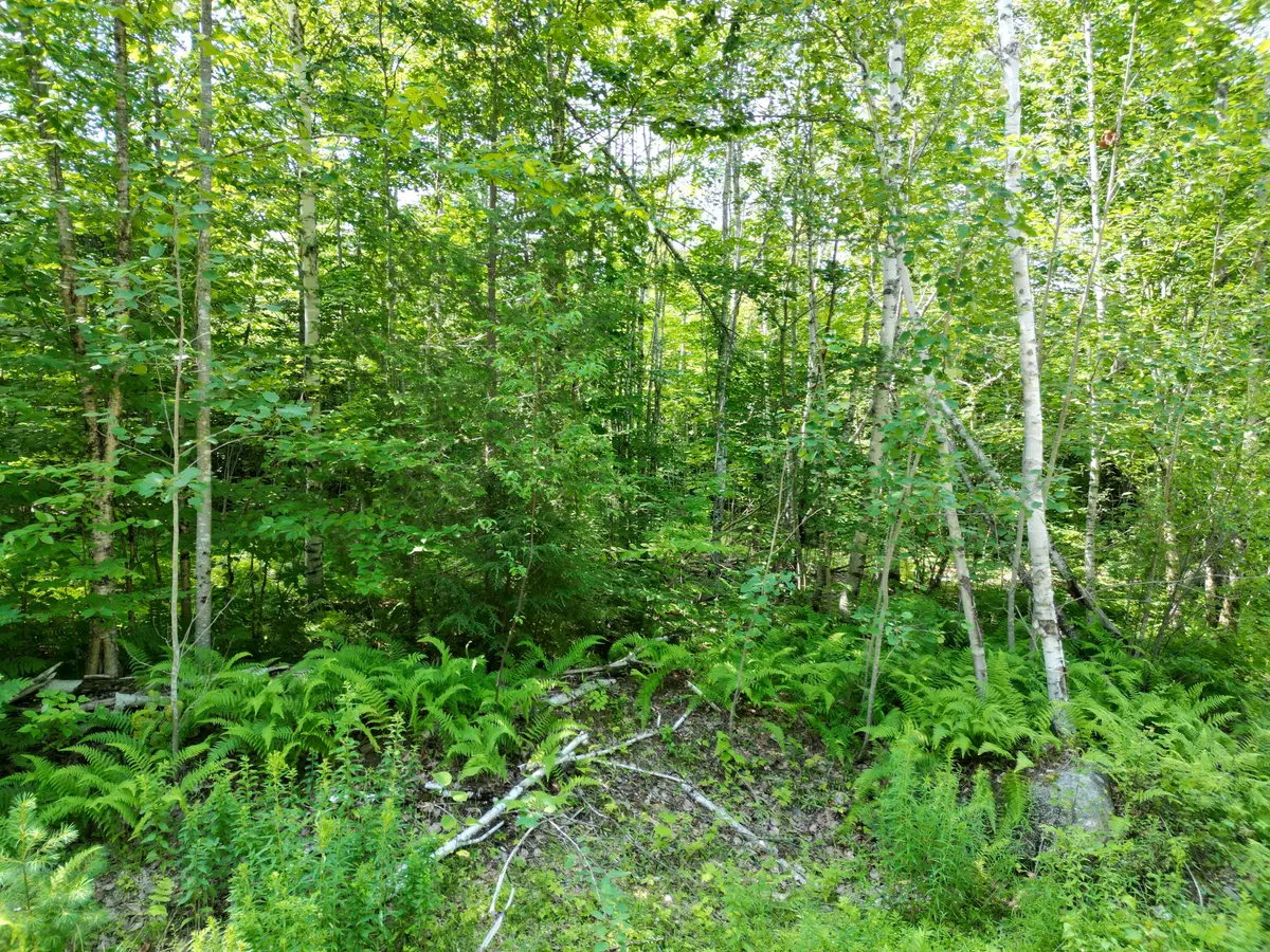 Springfield, ME 04487,Lot 2 Moores RD
