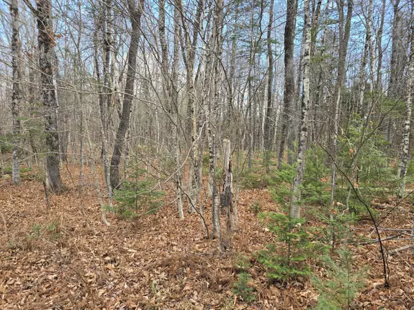 Woodstock, ME 04219,M13 L018A Concord Pond RD